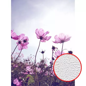 Фотообои Divino