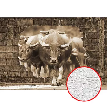 Фотообои Divino