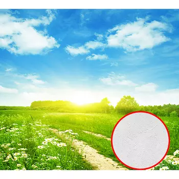 Фотообои Divino