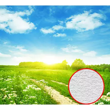 Фотообои Divino