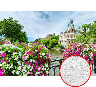 Фотообои Divino