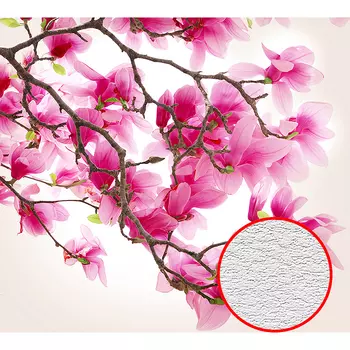 Фотообои Divino