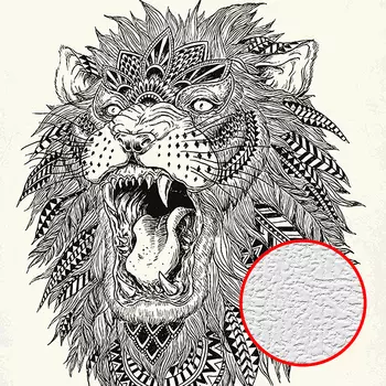 Фотообои Divino