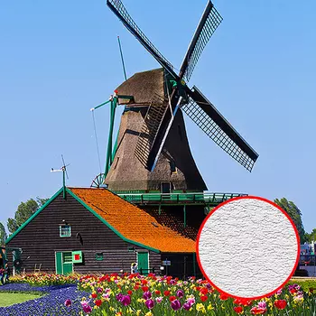 Фотообои Divino