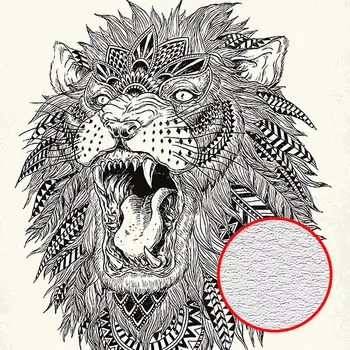 Фотообои Divino