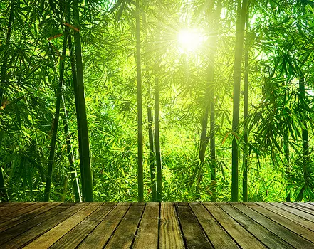 Фотообои Divino