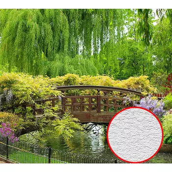 Фотообои Divino