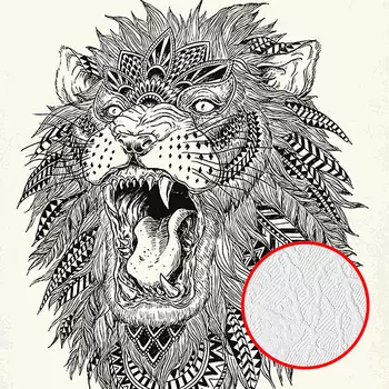 Фотообои Divino