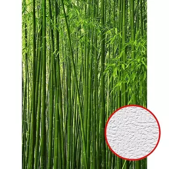 Фотообои Divino