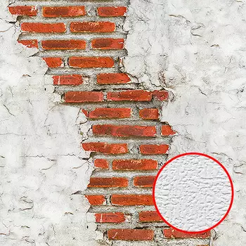 Фотообои Divino