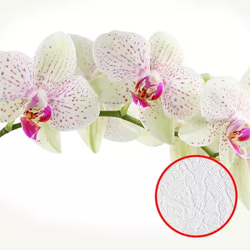 Фотообои Divino