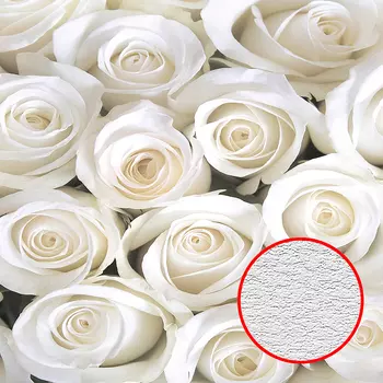 Фотообои Divino