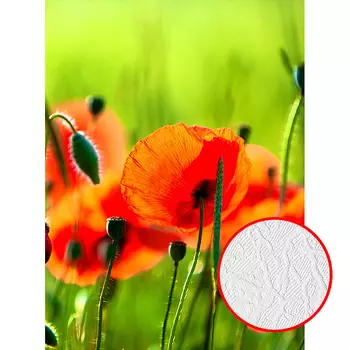 Фотообои Divino