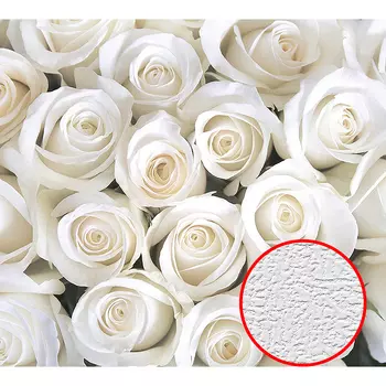 Фотообои Divino