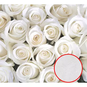 Фотообои Divino