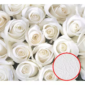 Фотообои Divino