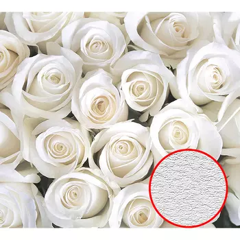 Фотообои Divino