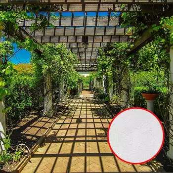 Фотообои Divino