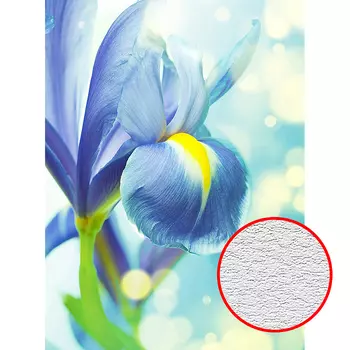 Фотообои Divino