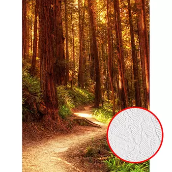 Фотообои Divino