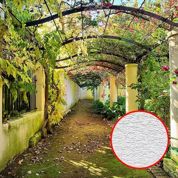 Фотообои Divino