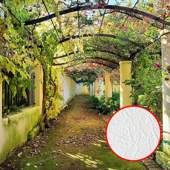 Фотообои Divino