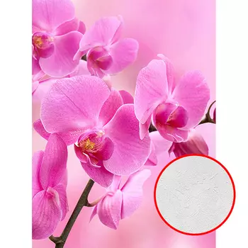 Фотообои Divino