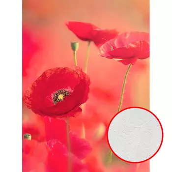 Фотообои Divino