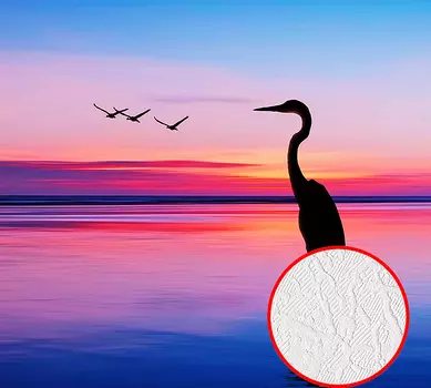 Фотообои Divino