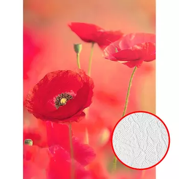 Фотообои Divino