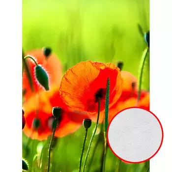 Фотообои Divino