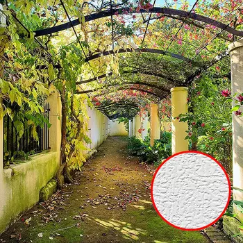 Фотообои Divino