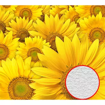 Фотообои Divino