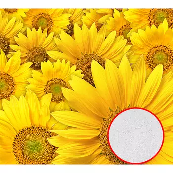 Фотообои Divino