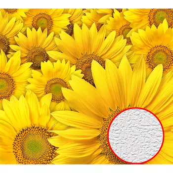 Фотообои Divino