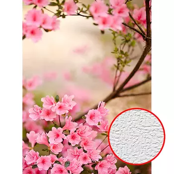 Фотообои Divino