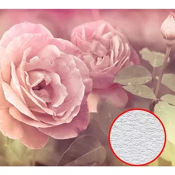 Фотообои Divino