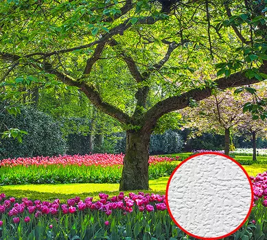 Фотообои Divino