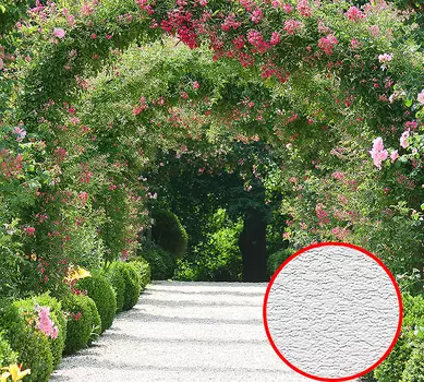 Фотообои Divino