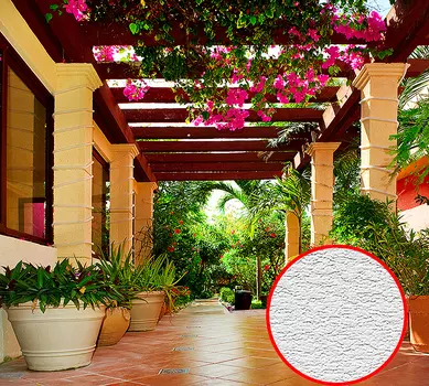 Фотообои Divino