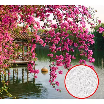 Фотообои Divino