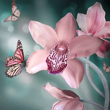 Фотообои Divino