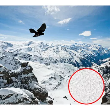 Фотообои Divino