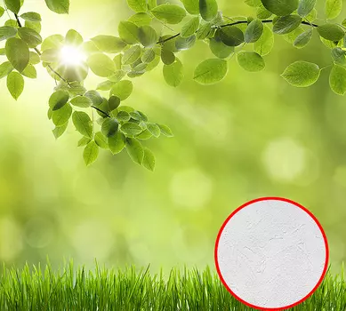 Фотообои Divino