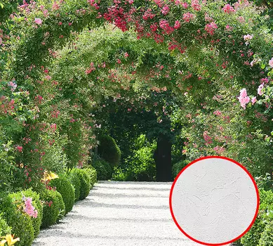 Фотообои Divino