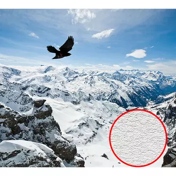 Фотообои Divino