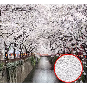 Фотообои Divino