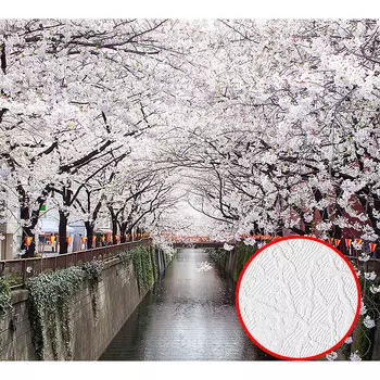 Фотообои Divino