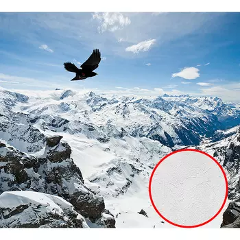 Фотообои Divino