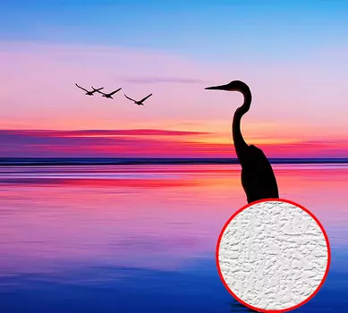 Фотообои Divino